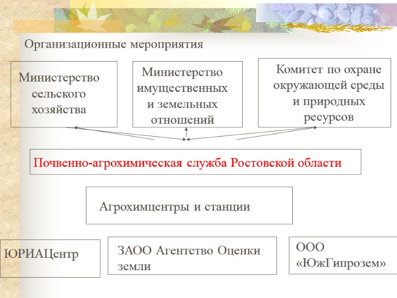 Организационные мероприятия Почвенно-агрохимическая служба Ростовской области Агрохимцентры и станции Министерство  сельского  хозяйства